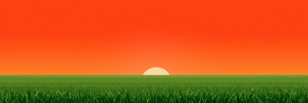 gazon pour climat tres chaud